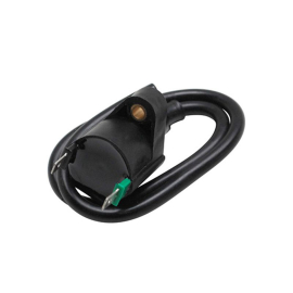 Bobine Allumage PEUGEOT - Haute Tension Extérieure 2 plots