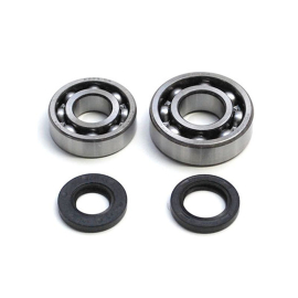 Kit Roulements + Joints Spi Peugeot 103 SP MVL RCX SPX - Type Origine