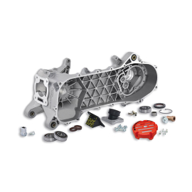 Cárter Motor Piaggio NRG LC - MALOSSI MHR RC One