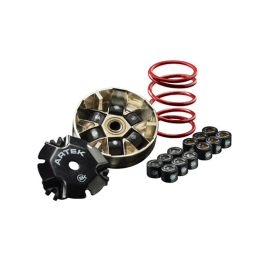 Variateur Peugeot Buxy Ludix Speedfight - ARTEK K2 Evo