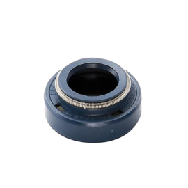 Reten 10x18x8 eje Bomba de Agua AM6 - TOP PERF