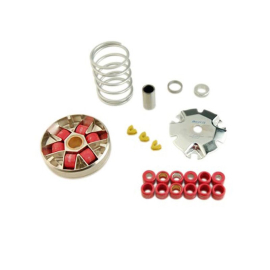Variateur Piaggio NRG Typhoon Zip à partir de 2000 - DOPPLER S2BR Galets 19mm 