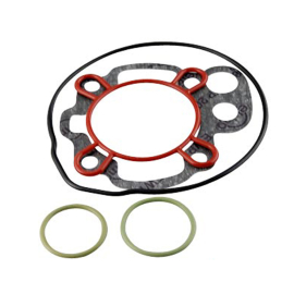 Juego de Juntas Kit Motor Completo AM6 - 50cc - ARTEIN - Tipo original - Hierro Fundido