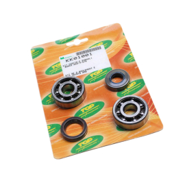 Kit Cojinetes C3 + Retenes AM6 - TOP PERF 6303
