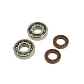 Kit Cojinetes C3 + Retenes Nitrilo DERBI - Tipo Original