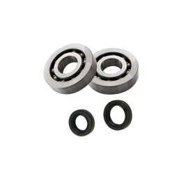 Kit roulements + joints spi vilebrequin Piaggio NRG Typhoon Zip - RSM