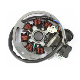 Stator Allumage TNT Grido Roma Strike 2T - 7 pôles avec platine / 1 connecteur + 2 fils TNT Motor