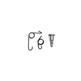 Ressort & Vis de Starter Carburateur SHA 14/12 15/15 16/16 - Dellorto