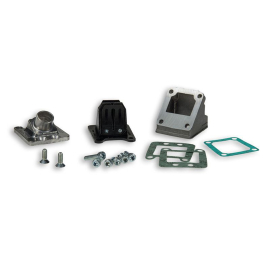Boîte à Clapet PEUGEOT RCX SPX - MALOSSI 15 / 16mm