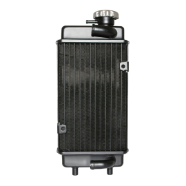 Radiateur AM6 Aprilia Beta MBK Peugeot Rieju Yamaha