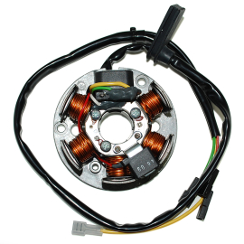 Stator Allumage AM6 - Type Ducati 6 pôles Faisceau Long TOP PERF