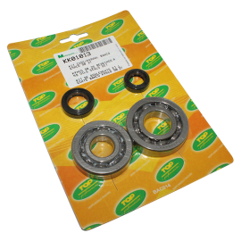 Kit Roulements + Joints Spi vilebrequin KYMCO Agility Like Dink 2T AC & Quad MXER MXU - Top Perf