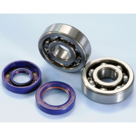 Kit Roulements C4 + Joints Spi Viton AM6 - Polini 6303