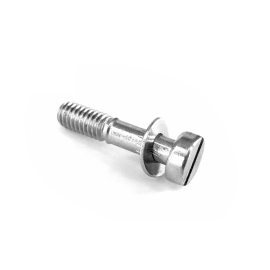 Vis de Cuve Carburateur PHBN / PHVA / PHVB - Dellorto Avec Rondelle