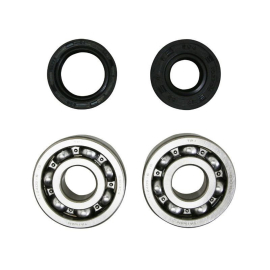 Kit Rodamientos C4 + Retenes Nitrilo AM6 - 6303