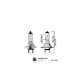Bombilla 12V 55W H7 PX 26D Mega Plus 50% - FLOSSER Blanca
