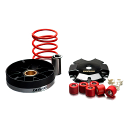 Variateur Piaggio NRG Typhoon Zip - Yasuni Pro Race V2 Grande Plage Galets 19mm