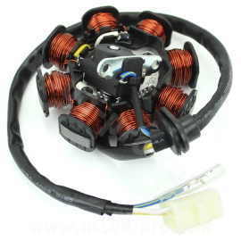 Stator Allumage TNT Boston 12p E4 - TNT Motor