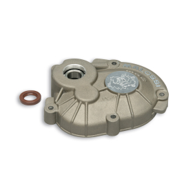 Carter Transmission Piaggio NRG Typhoon Zip - Malossi MHR Roller Crankcase Axe 16mm