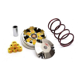 Variateur SUZUKI KATANA - METRAKIT