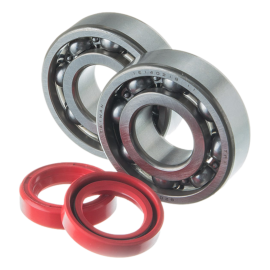 Kit de rodamientos y retenes de cigüeñal Watts para Peugeot Ludix (6204 C3)