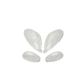 Cabochons clignotant TNT transparents adapt. Piaggio NRG MC2 NTT