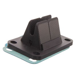 Clapet Carenzi Minarelli AM6 type V Force
