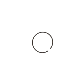 Segment 41 mm 1,7 mm adaptable Solex