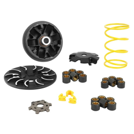 Variateur Replay Black Edition Peugeot Ludix / Kisbee / Streetzone 50 2T